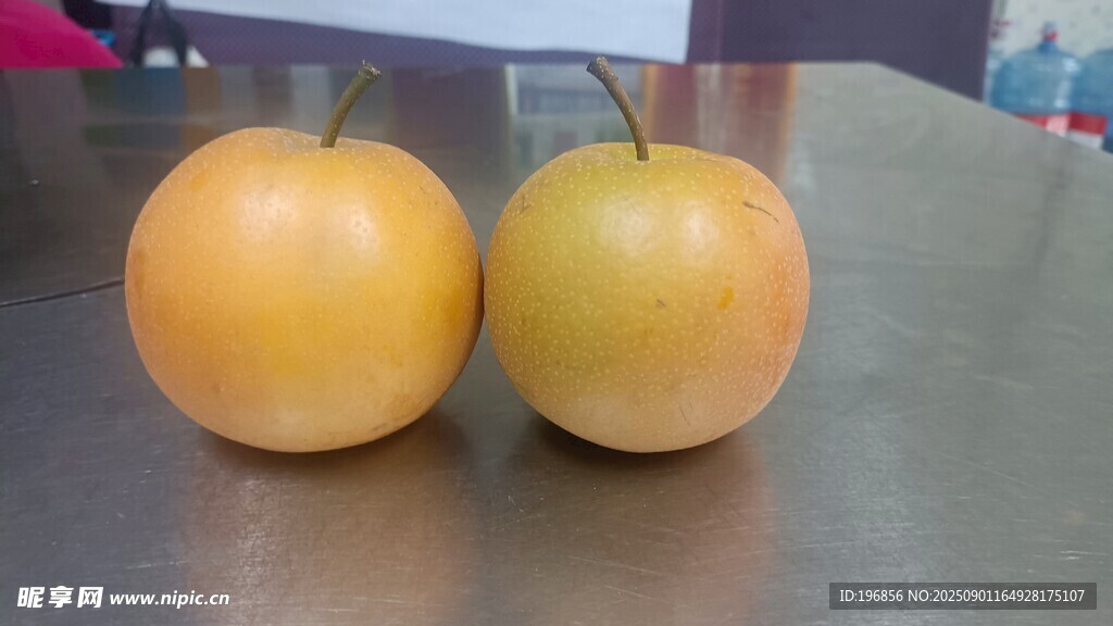 两个相对的梨