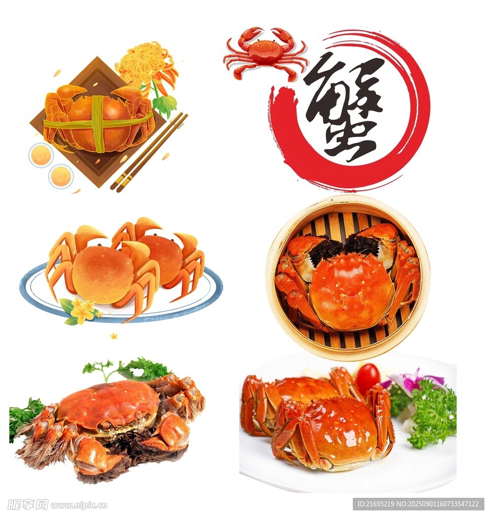 大闸蟹插画