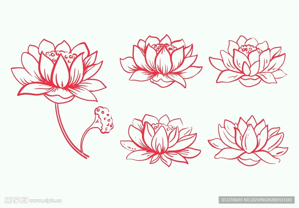 手绘莲花图案