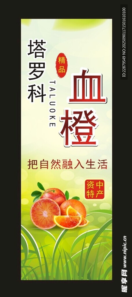 血橙贴纸