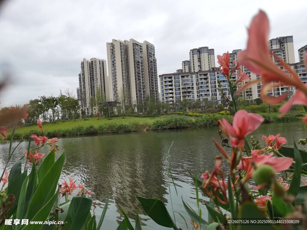 湖畔花影与对岸住宅区