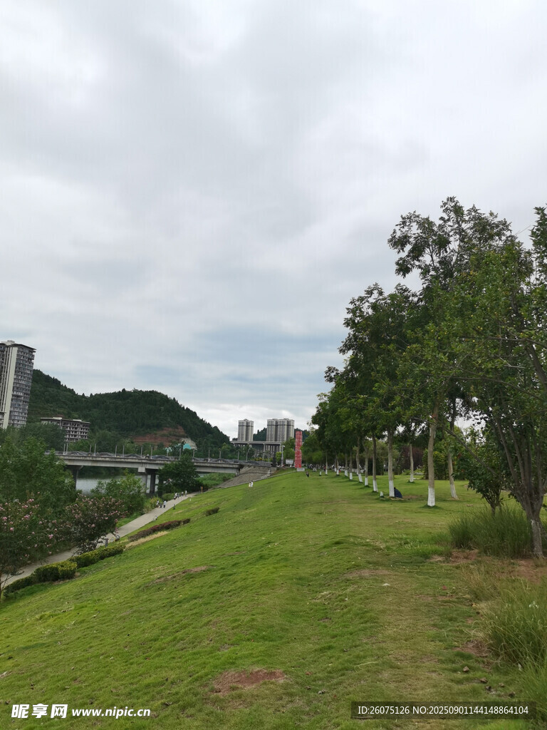 绿意盎然的户外草地风景