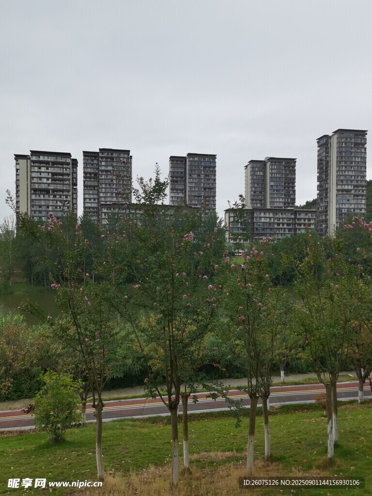 城市住宅区与绿树景观