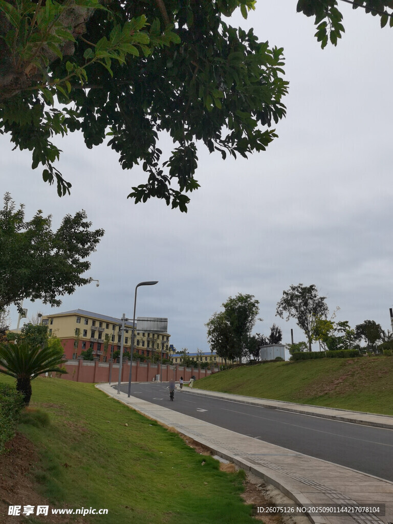 城郊道路旁的绿意景致