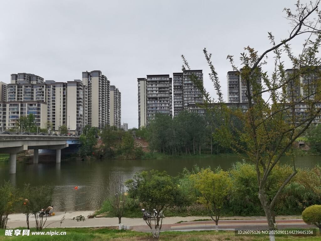 湖畔对岸高楼景观