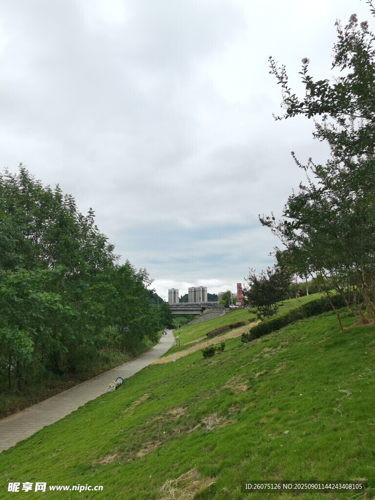 绿意盎然的河畔绿地