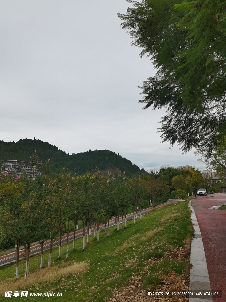 城市河畔绿地与步道风景