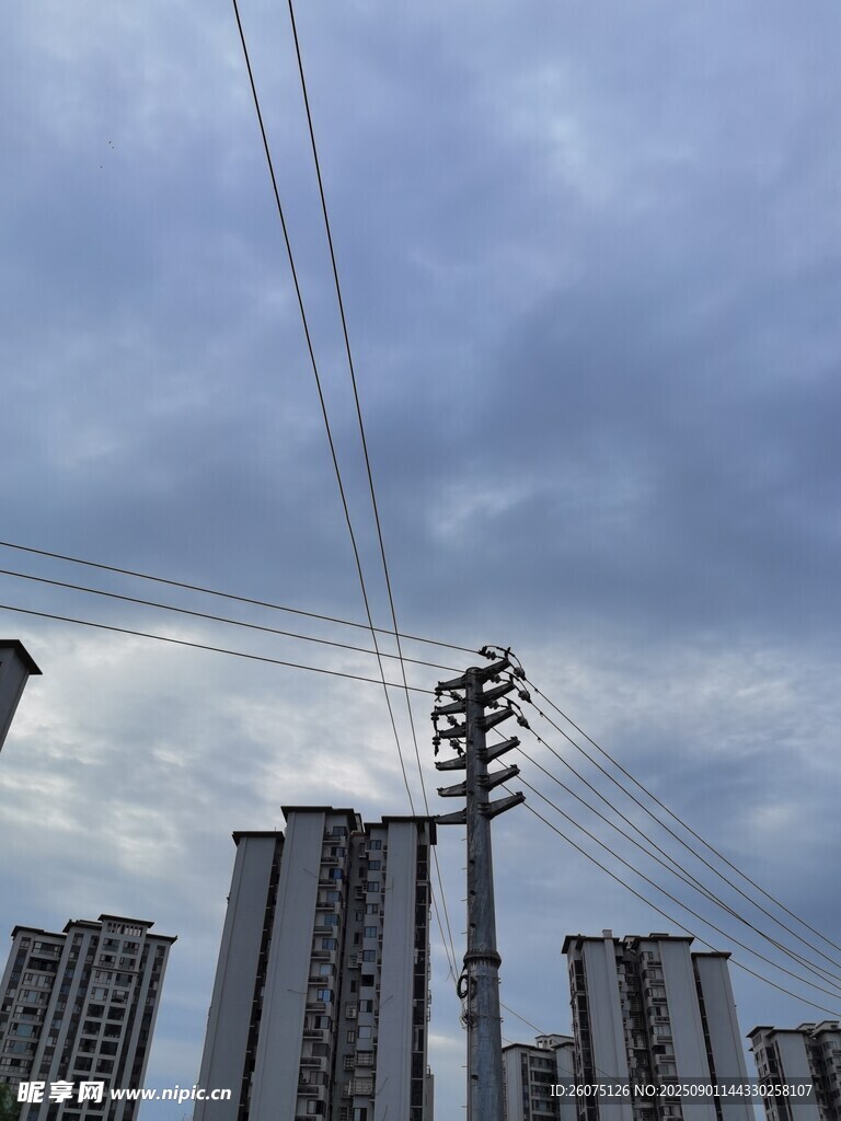 城市上空的电线与高楼
