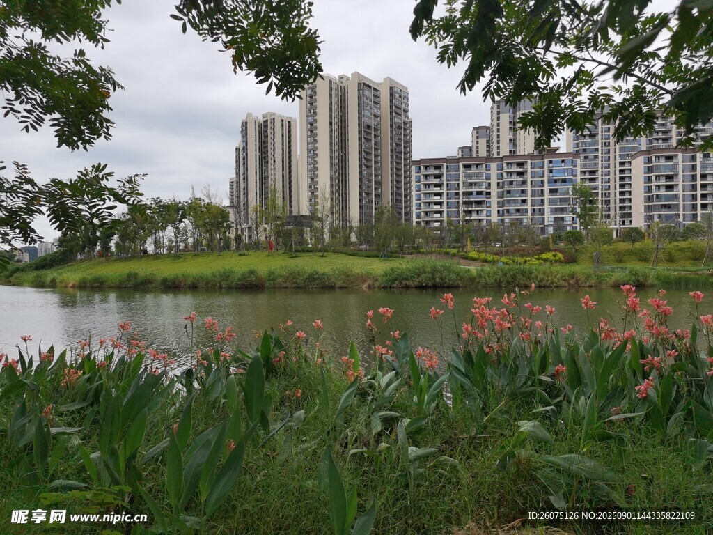 湖畔绿植旁的现代高楼景观