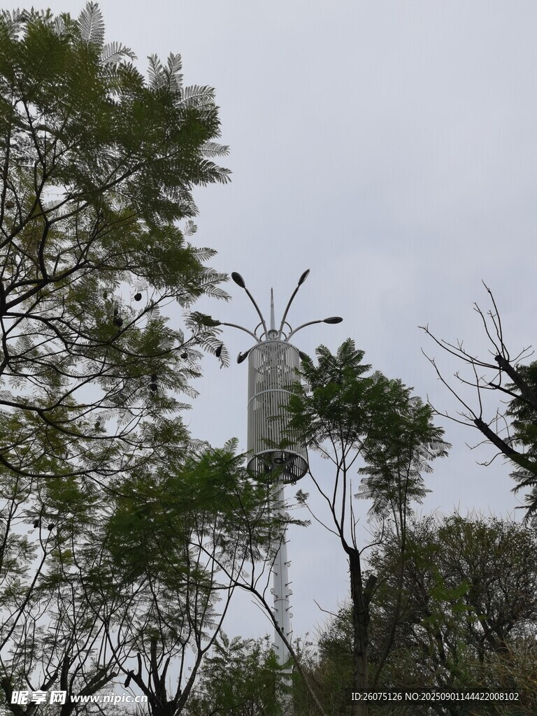 树林中的白色通信设施