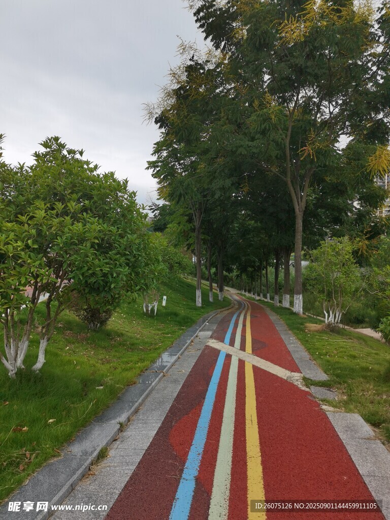 彩色步道穿梭于绿树间