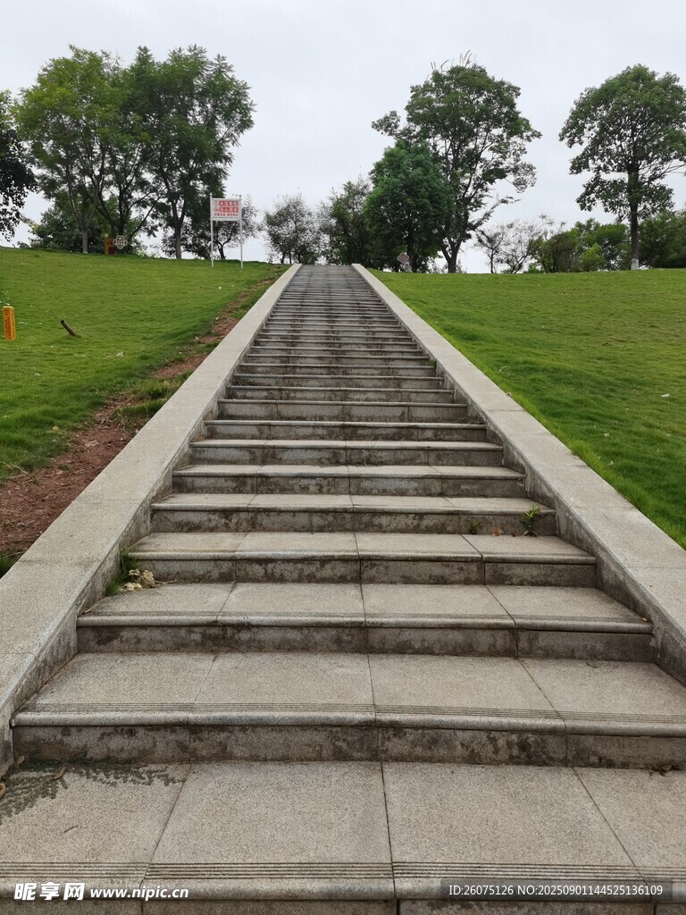户外石阶通向绿意风景