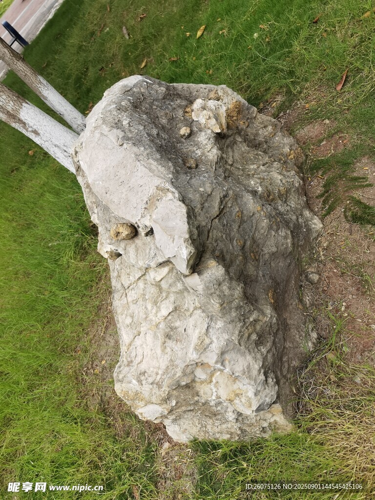 草地上的奇特石头