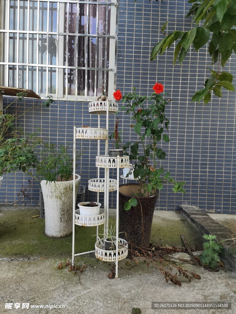 户外多层铁艺花架绿植景