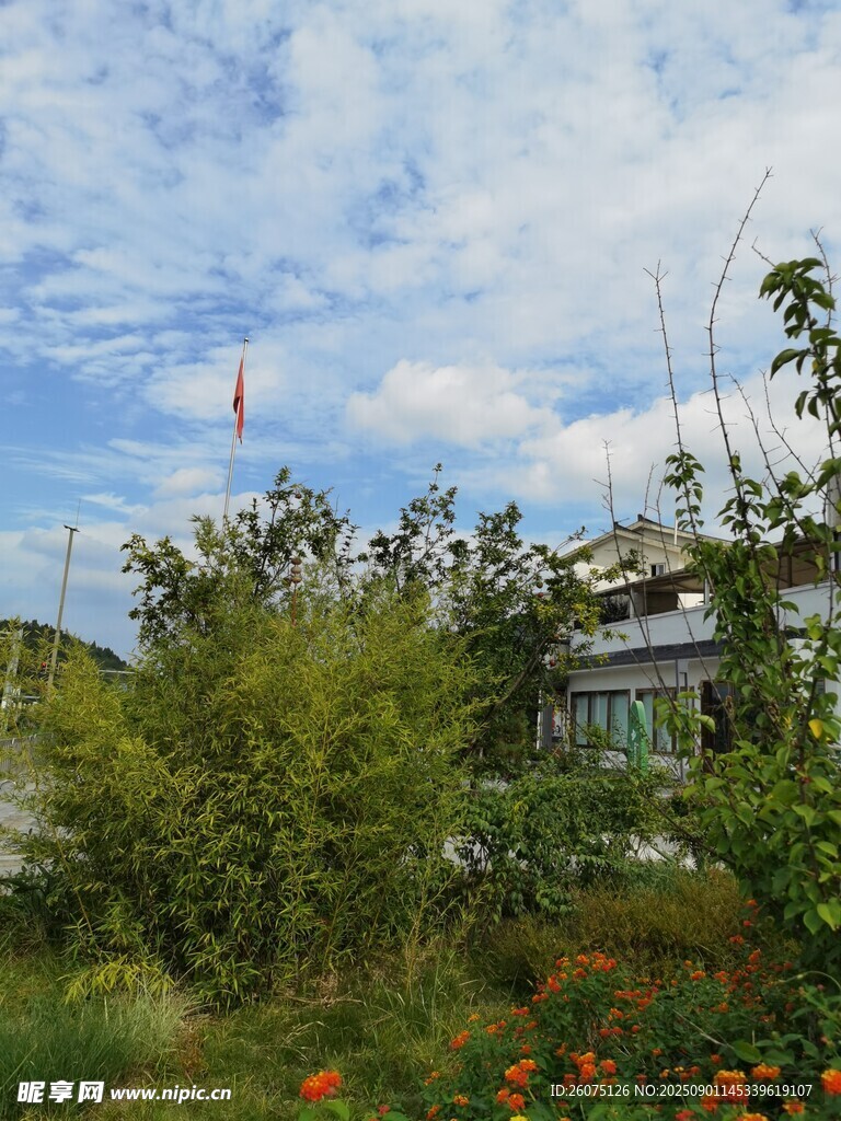 田园风光中的小屋与绿植