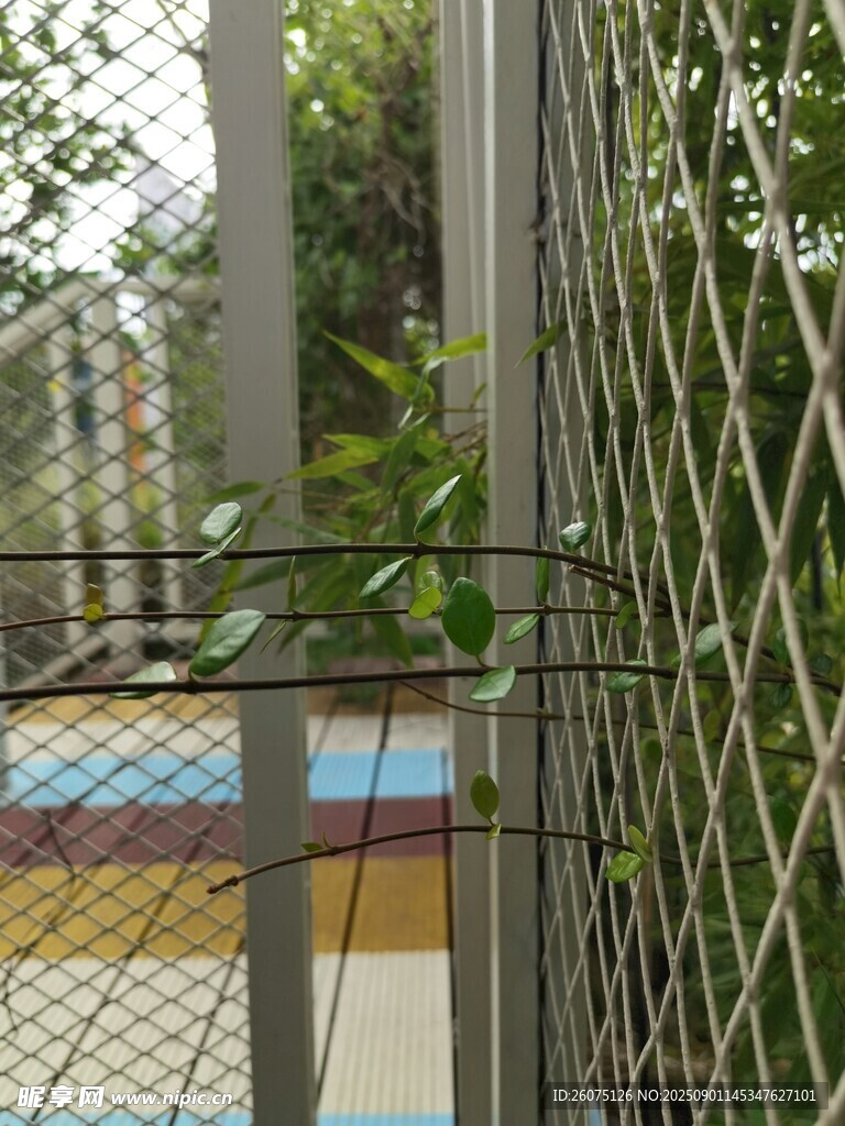 透过围栏看户外景致