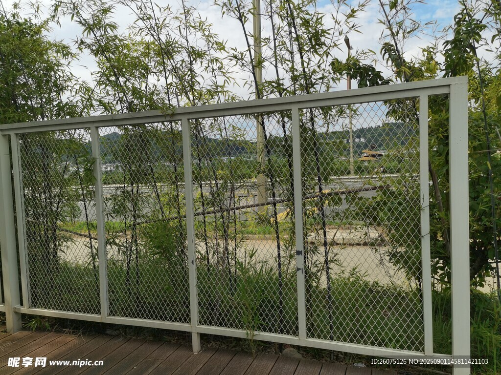 户外金属围栏与竹林景观