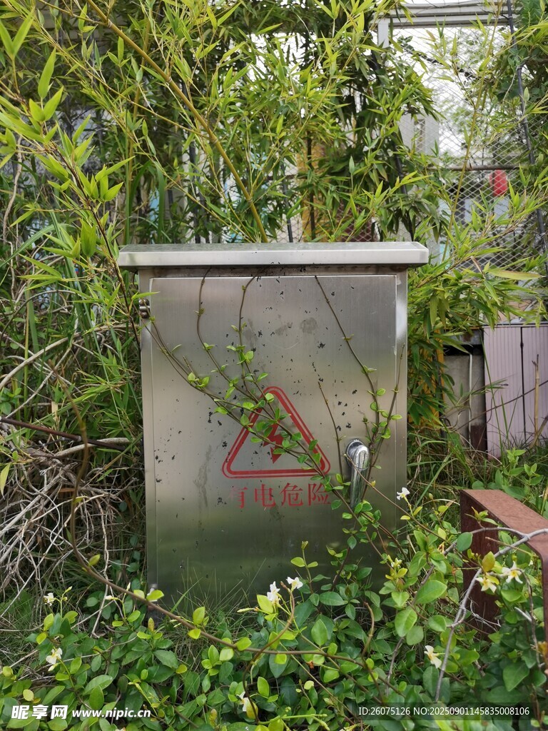 户外绿植中的金属配电箱