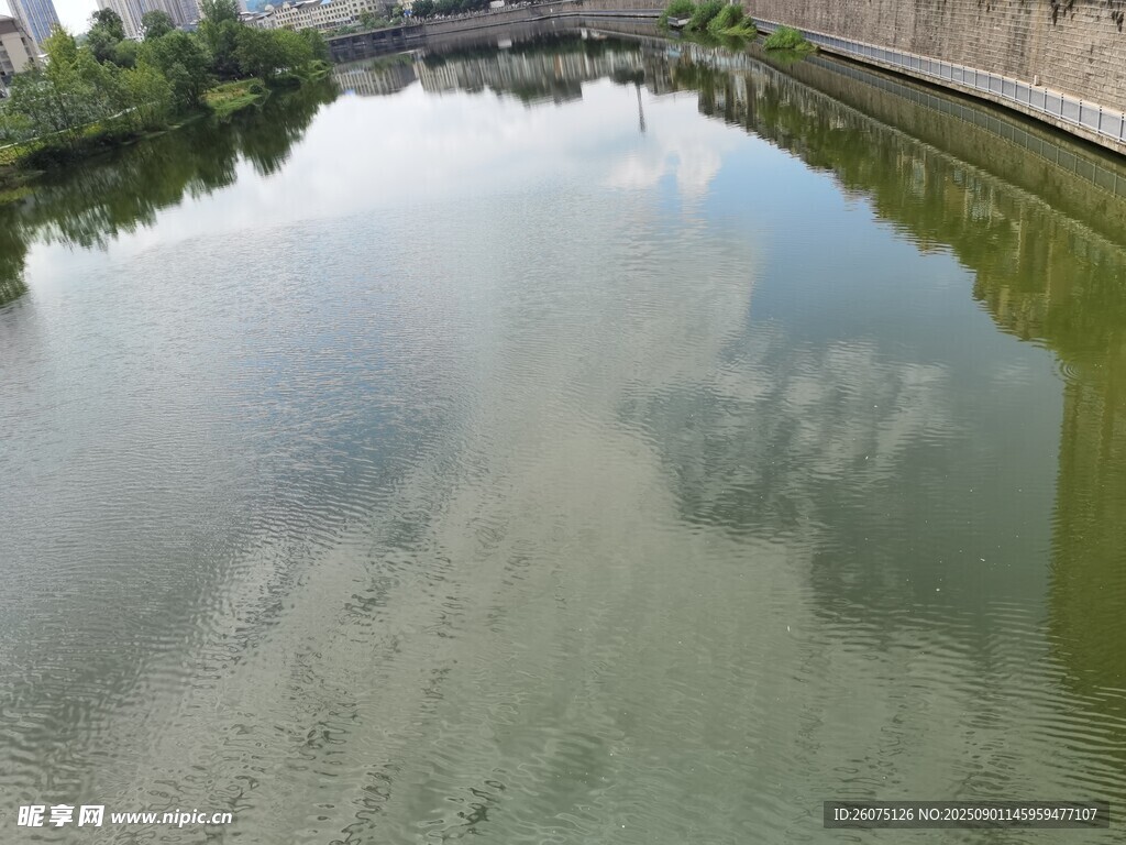 平静河水映天空与岸景