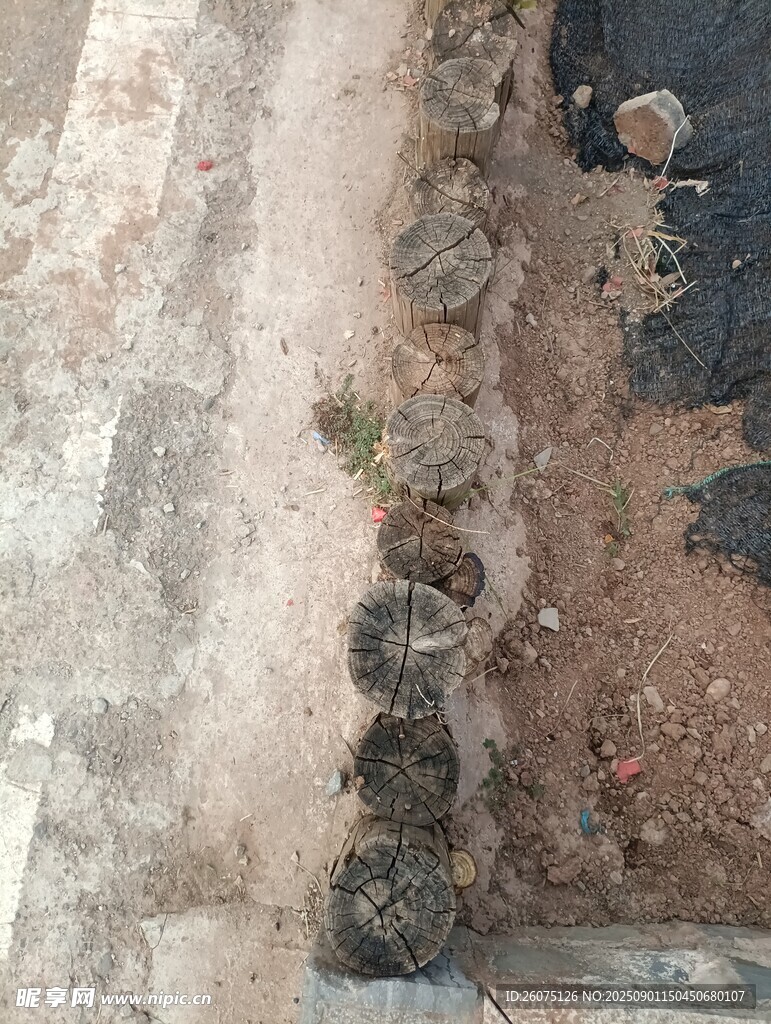 水泥地面上的圆木桩