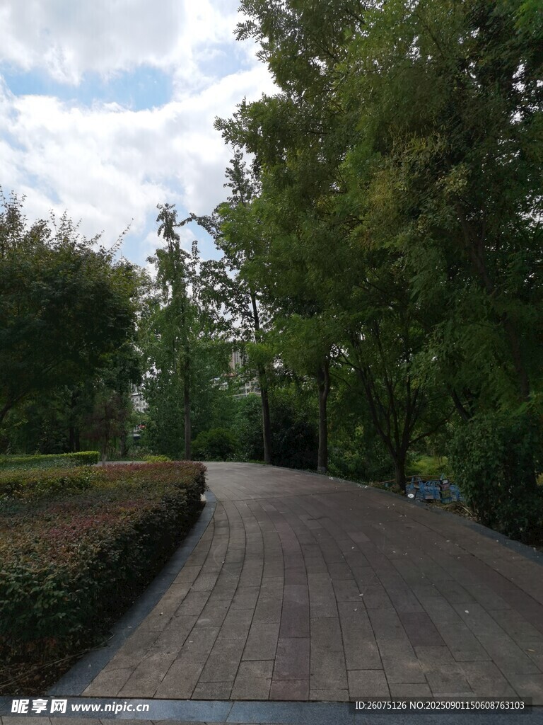 公园砖石小径绿意盎然