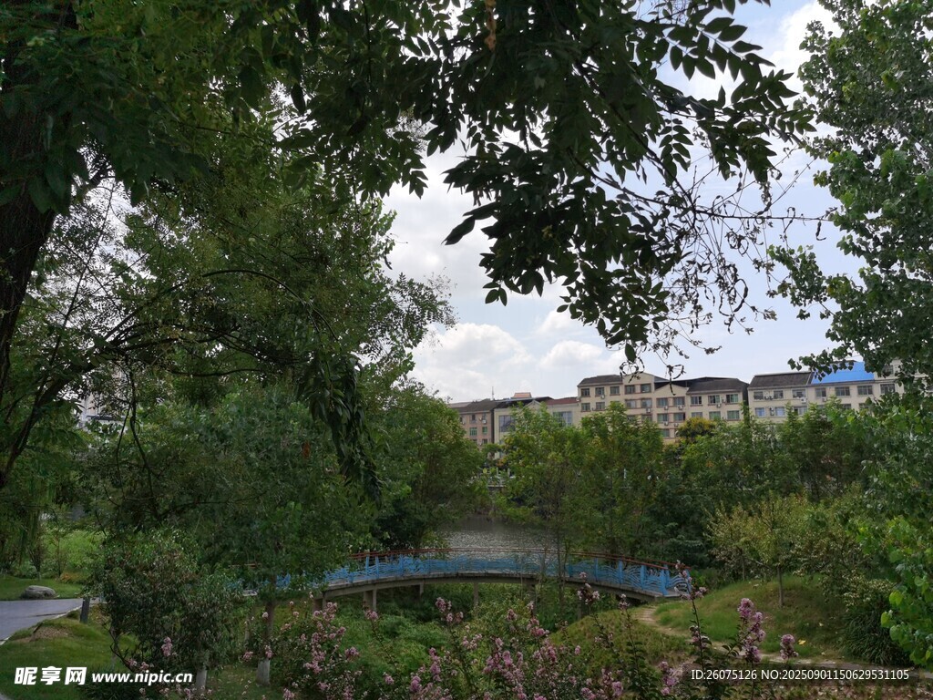 树荫下的河畔步道景色