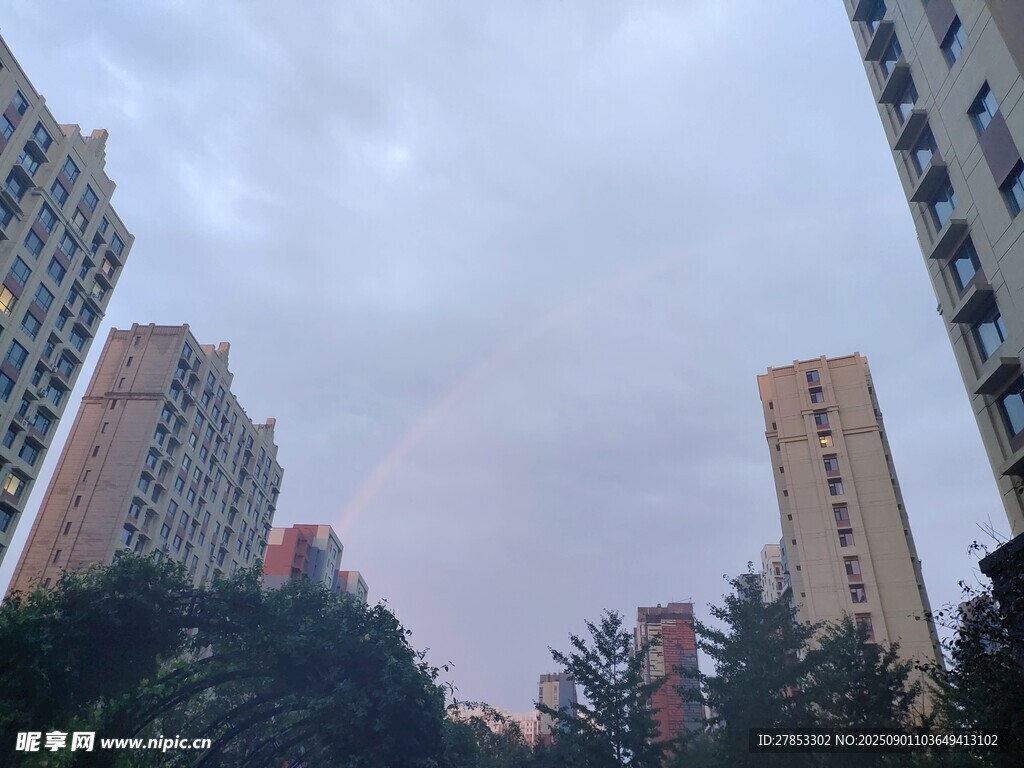 城市高楼与绿植景观