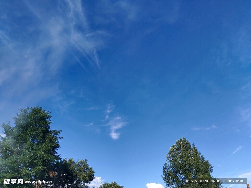 蓝天绿树风景