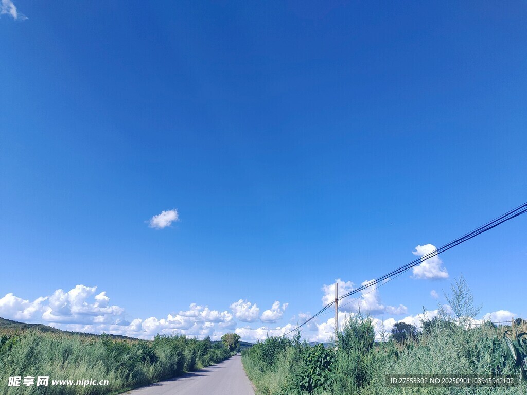 蓝天绿野之景