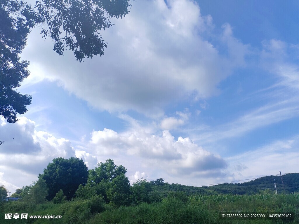 蓝天白云下的绿野风光
