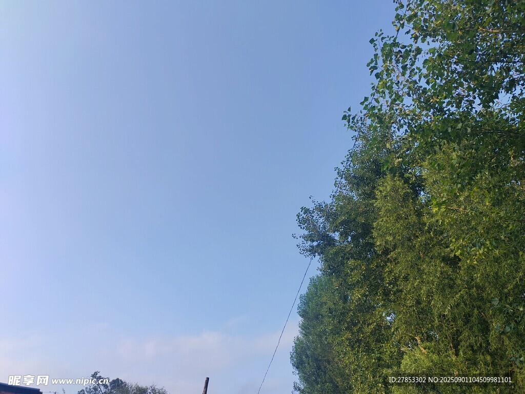 蓝天绿树风景图