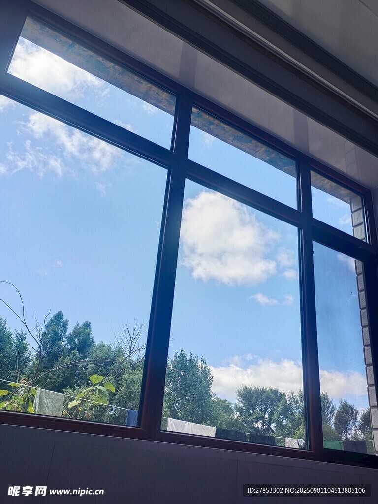 窗外蓝天绿树的明亮景致