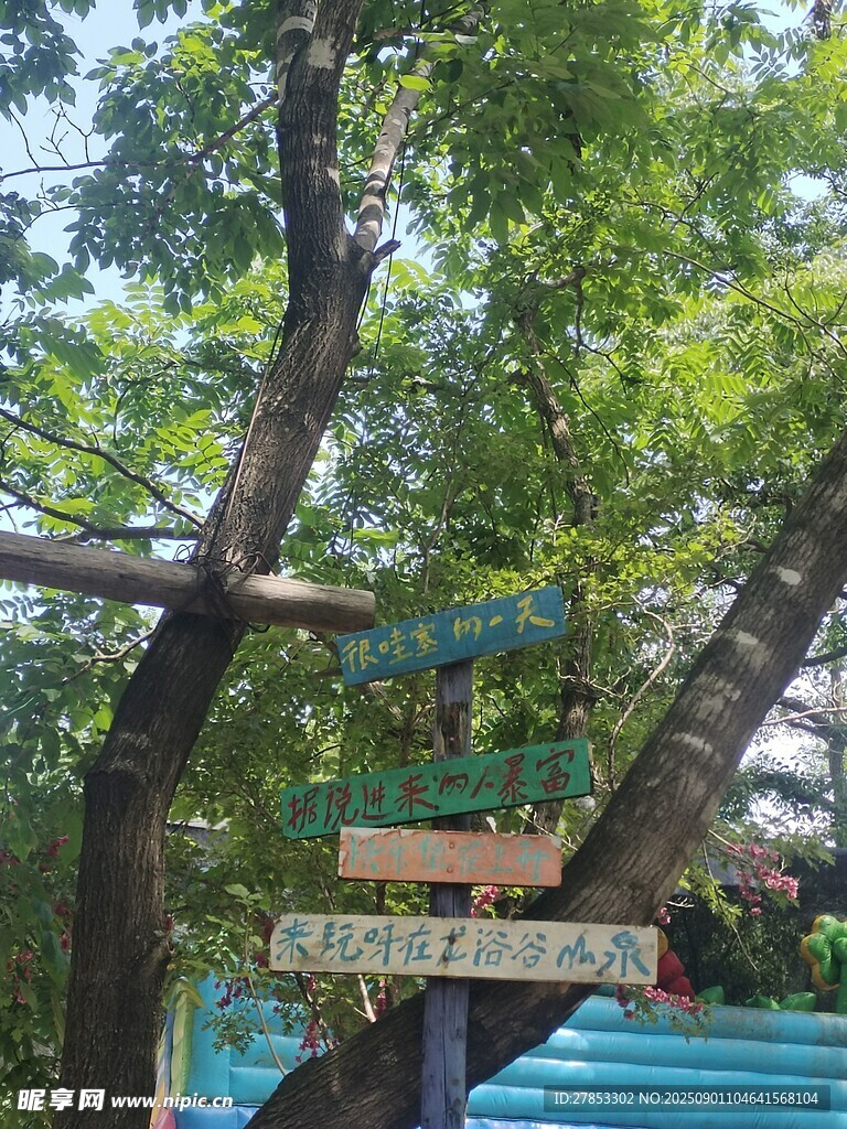 林间木牌指引自然路径