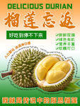 美味榴莲 