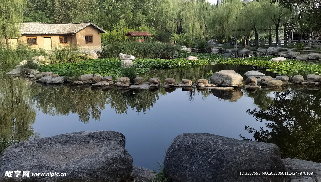 自然风景