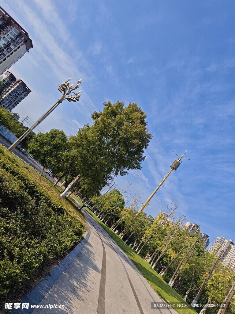 城市林荫步道风景
