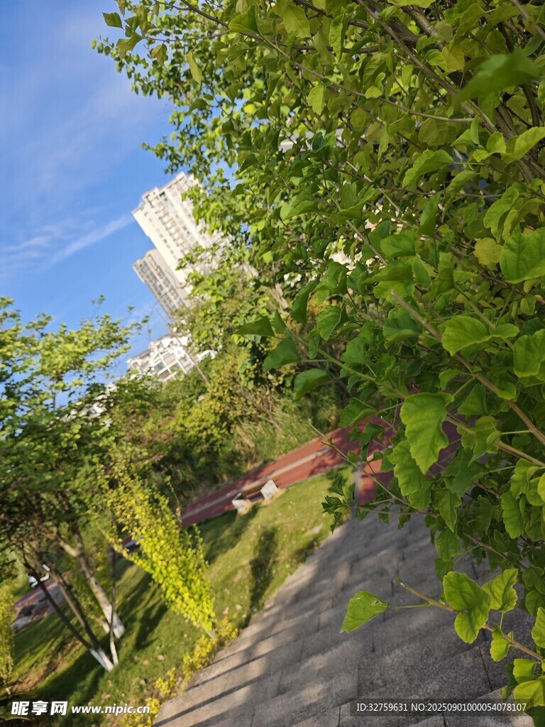 林间小道