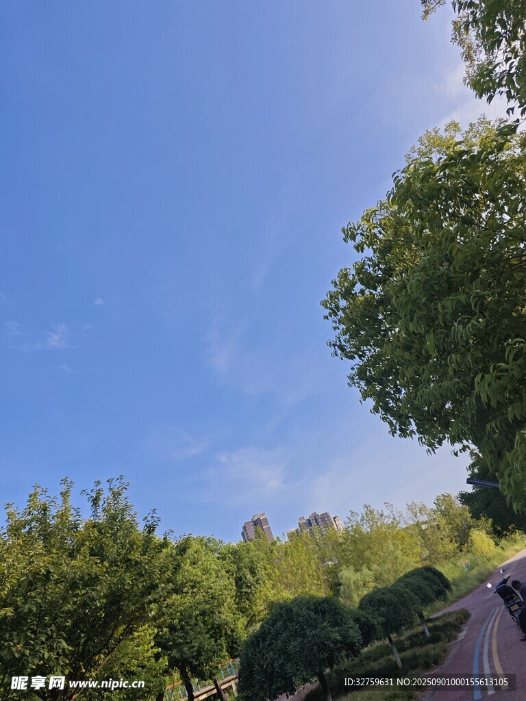 林间小路