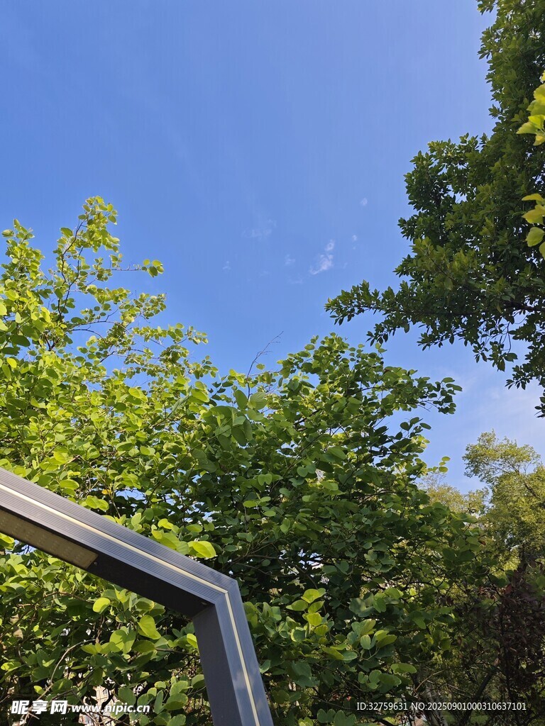 蓝天绿树间的金属框架