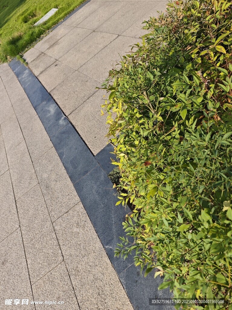 石板路旁绿意盎然景观