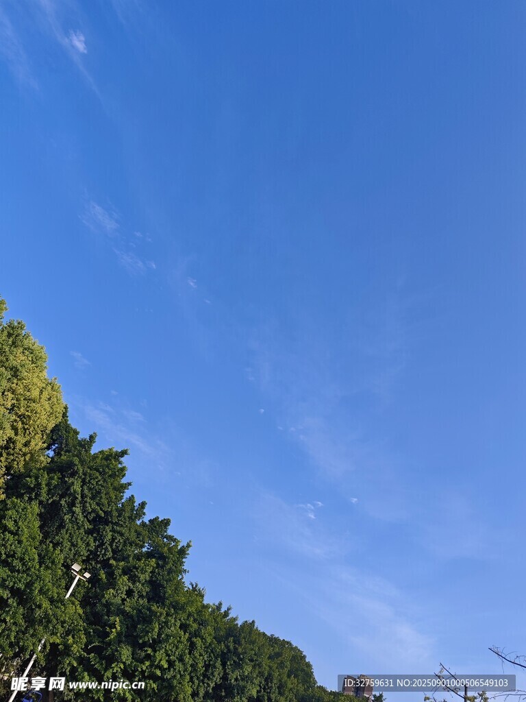 蓝天绿树风景图
