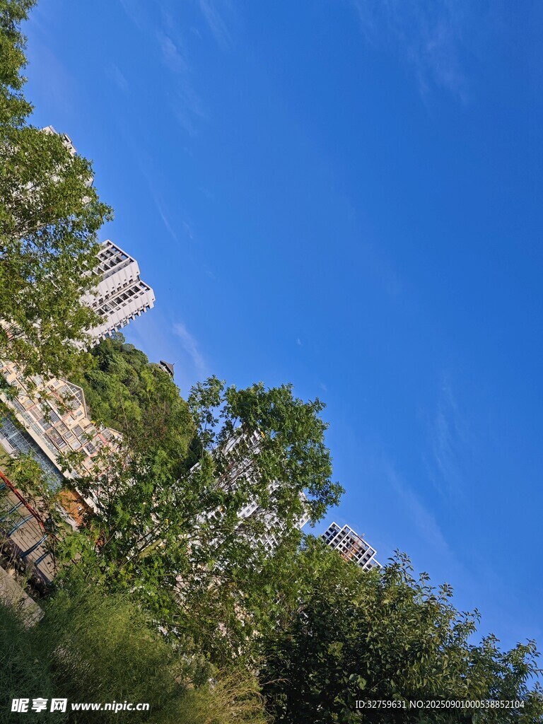 蓝天绿树间的城市景致