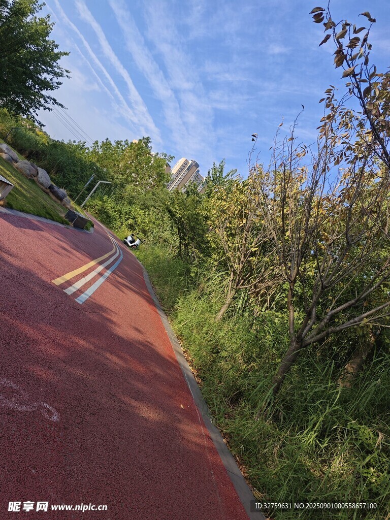 户外红径旁的绿植与蓝天