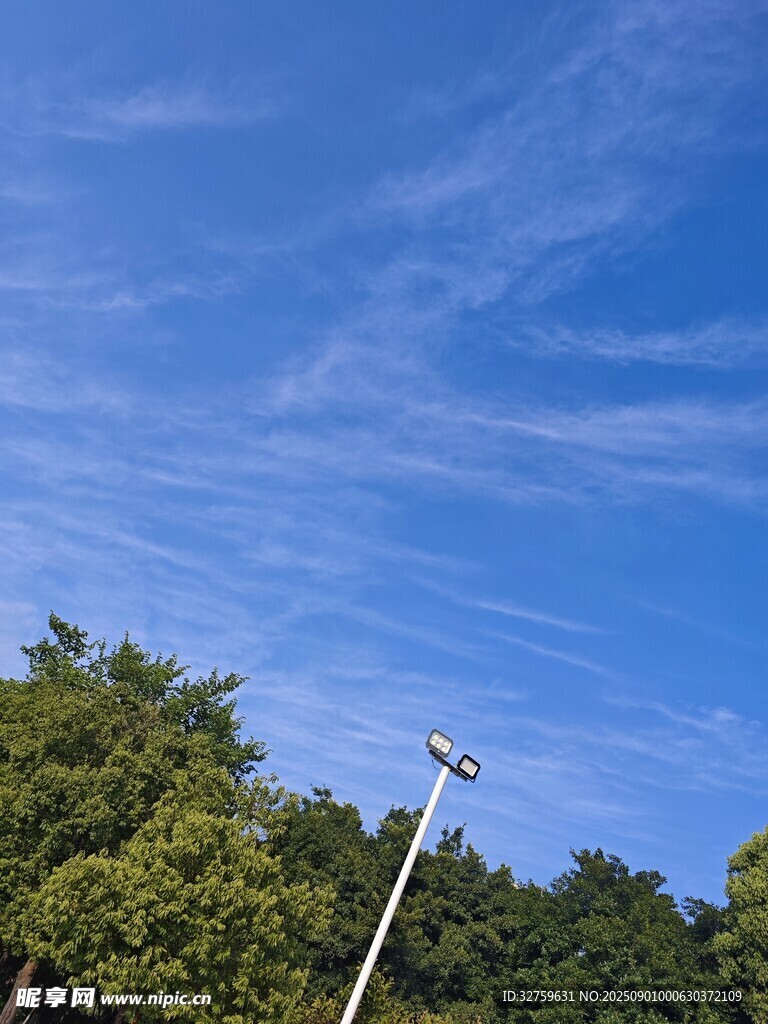 蓝天绿树间的电线杆