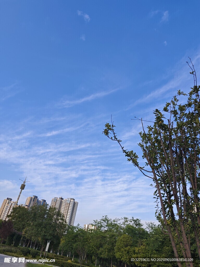 蓝天绿树间的城市景致