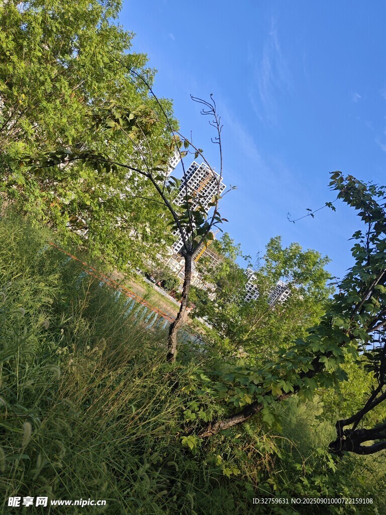 山间绿树环绕的高耸建筑