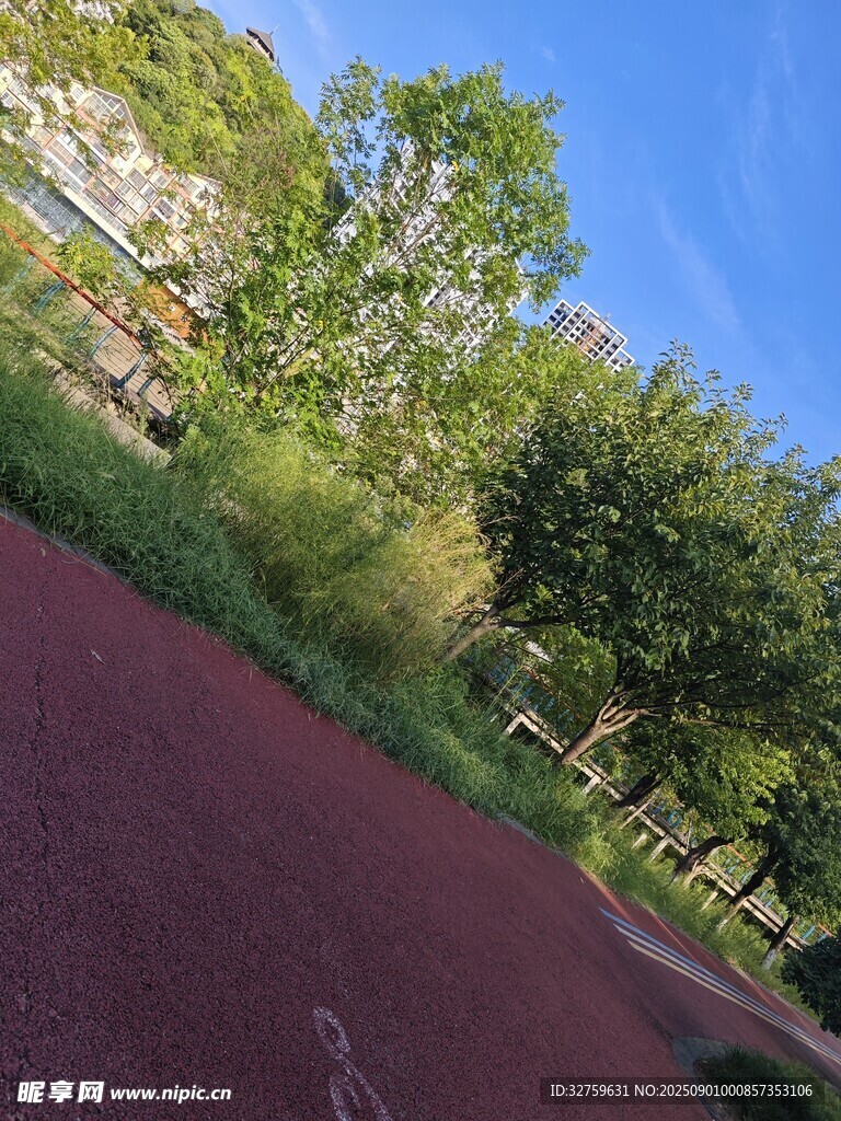 户外红色步道与葱郁树木