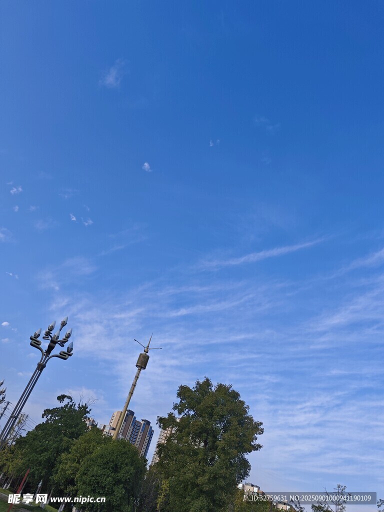蓝天绿树间的城市景观