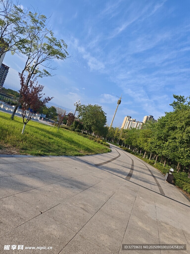 城市中的宁静林荫步道
