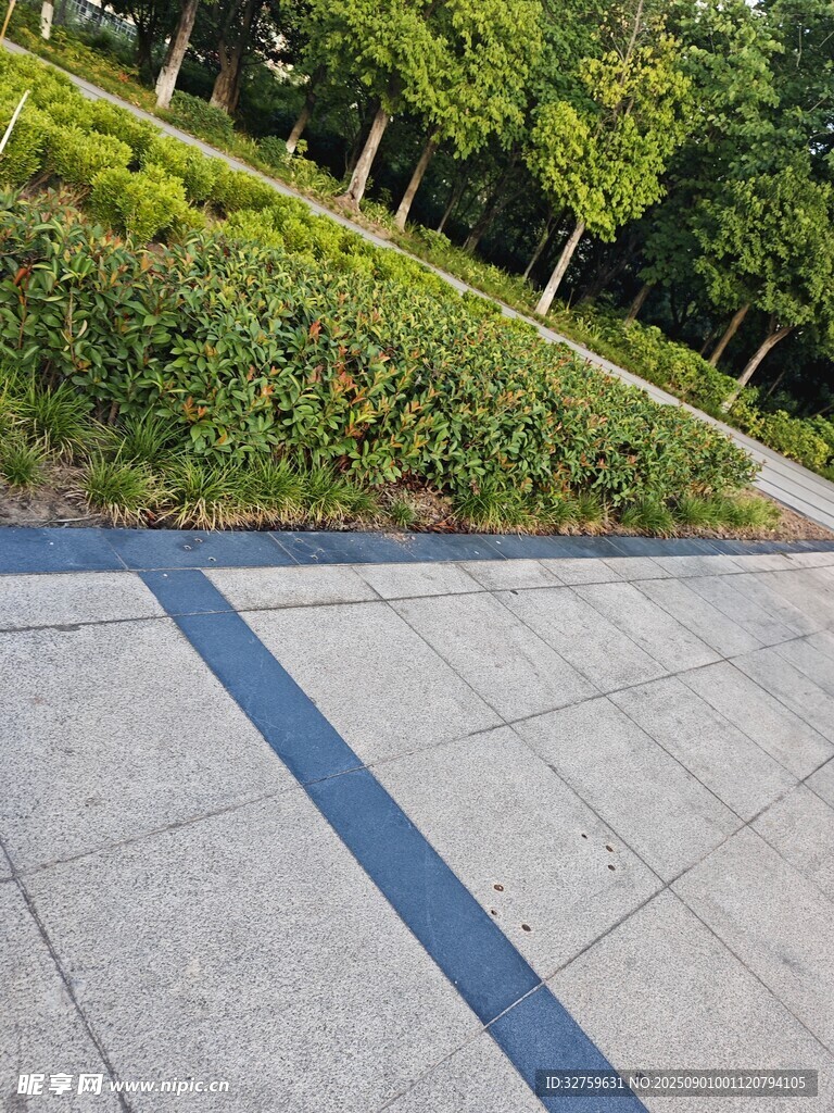 户外灰色地砖与绿植景观